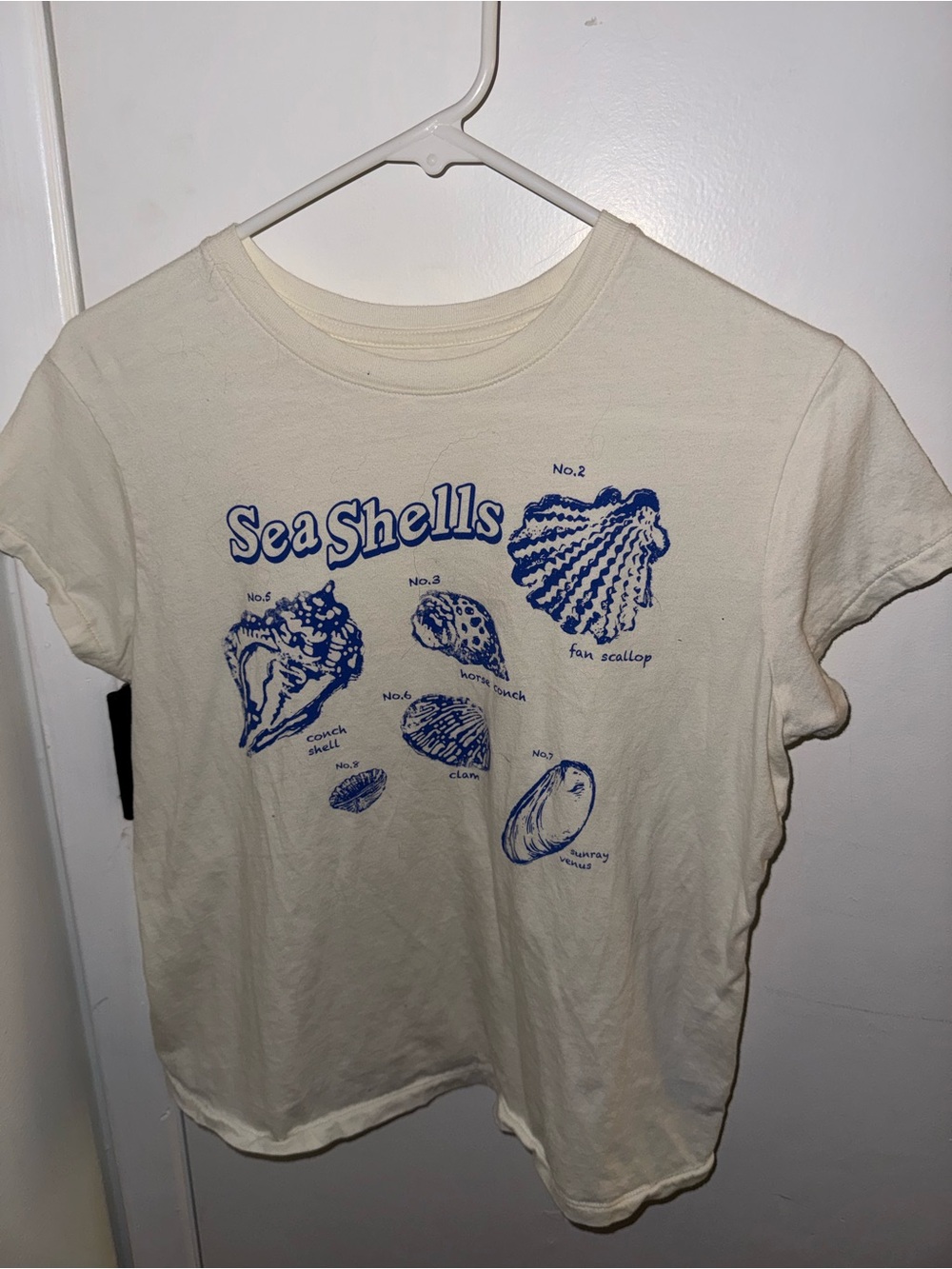 Universal Thread Ivory Seashell Graphic Tee